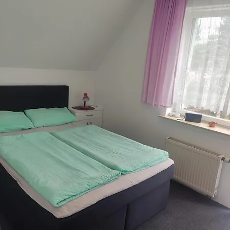 Goscinne U Dany * Ярославец