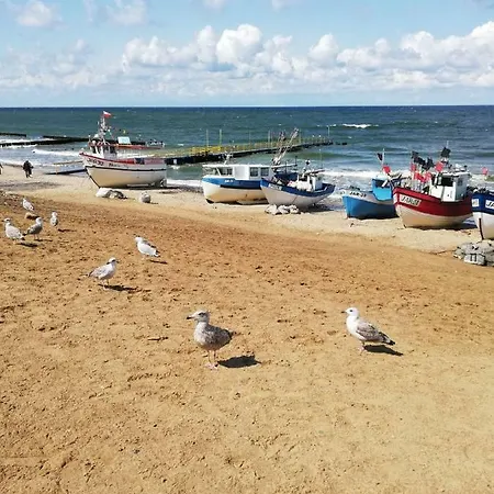 Проживание в семье Goscinne U Dany